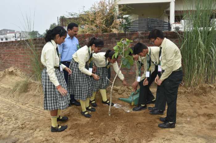 Van Mahotsav week